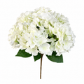 An artificial white hydrangea flower bouquet with green leaves and a single brown stem, isolated on a white background.