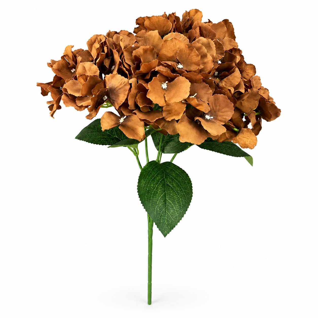 An artificial dried hydrangea stem with brown-orange petals and green leaves on a solid white background.