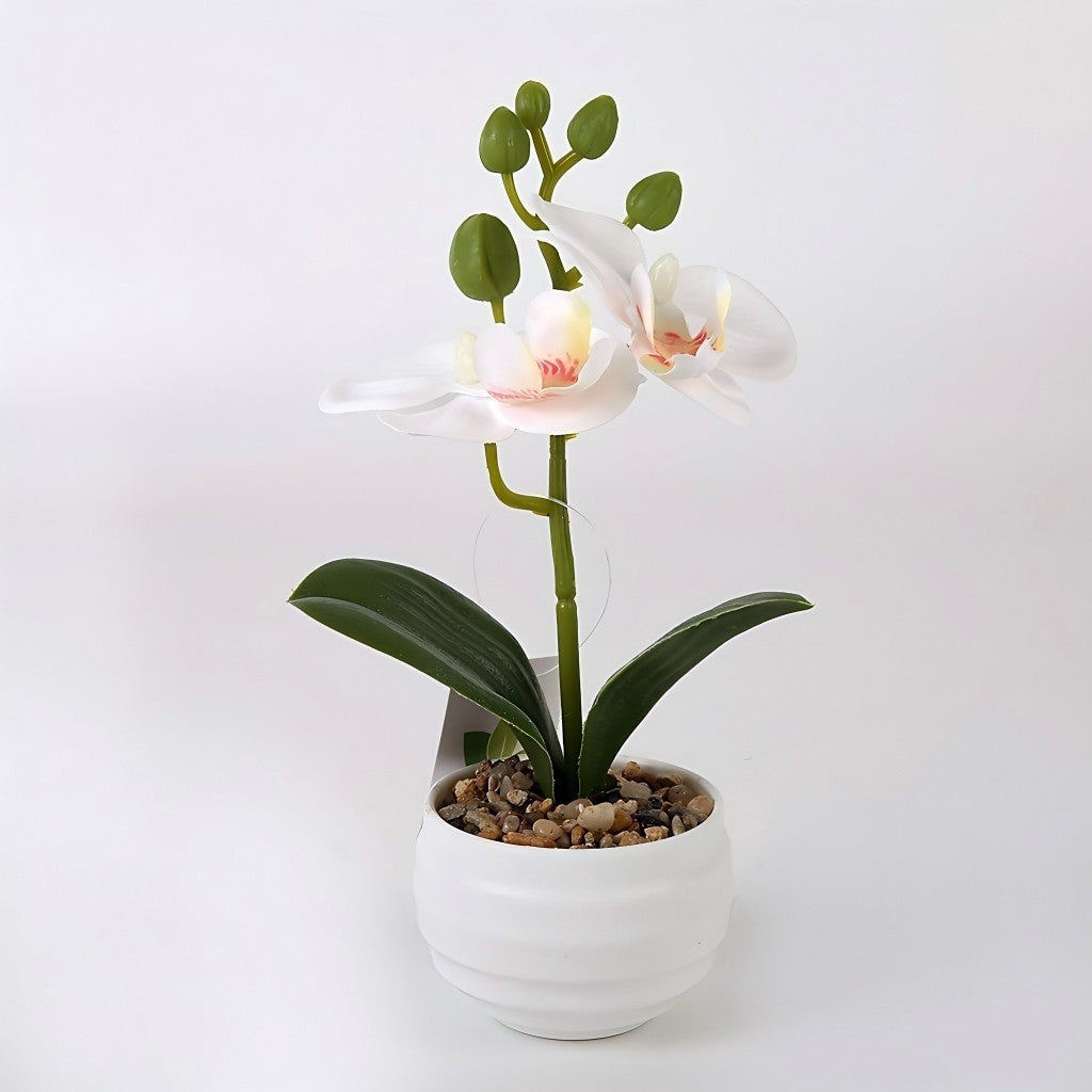 Pohon Anggrek Tiruan 2 Bungaan - Hiasan Luar Ruangan, Bunga Tiruan, Hiasan Pernikahan & Bonsai