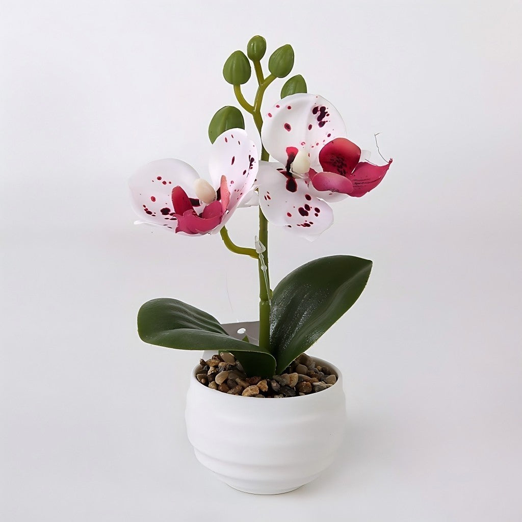 Pohon Anggrek Tiruan 2 Bungaan - Hiasan Luar Ruangan, Bunga Tiruan, Hiasan Pernikahan & Bonsai