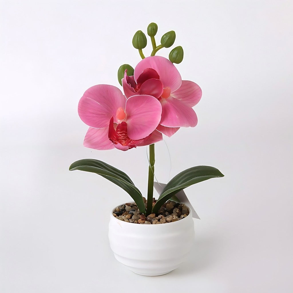 Pohon Anggrek Tiruan 2 Bungaan - Hiasan Luar Ruangan, Bunga Tiruan, Hiasan Pernikahan & Bonsai