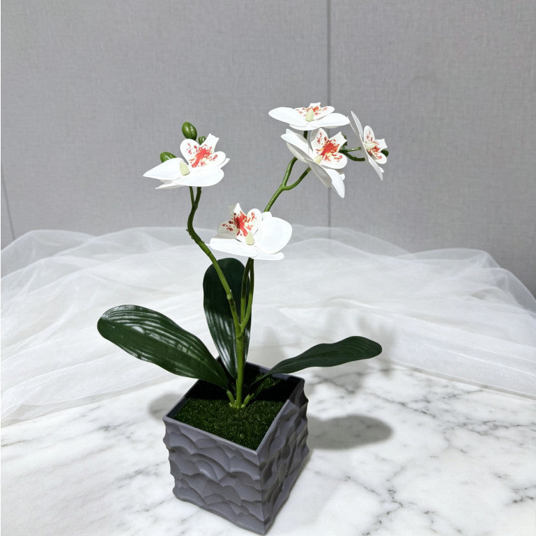 Pohon Anggrek Tiruan 5 Bungaan - Hiasan Luar Ruangan, Bunga Tiruan, Hiasan Pernikahan & Bonsai