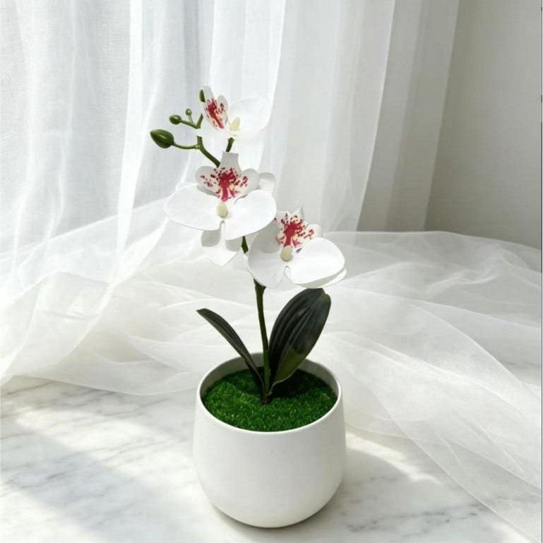 Pohon Anggrek Tiruan 3 Bungaan - Hiasan Luar Ruangan, Bunga Tiruan, Hiasan Pernikahan & Bonsai