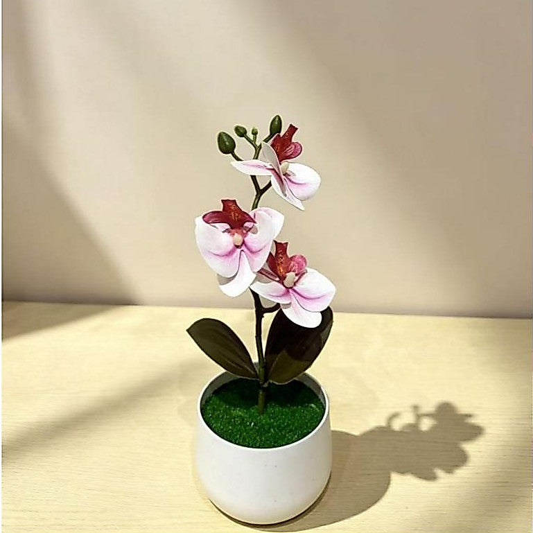 Pohon Anggrek Tiruan 3 Bungaan - Hiasan Luar Ruangan, Bunga Tiruan, Hiasan Pernikahan & Bonsai